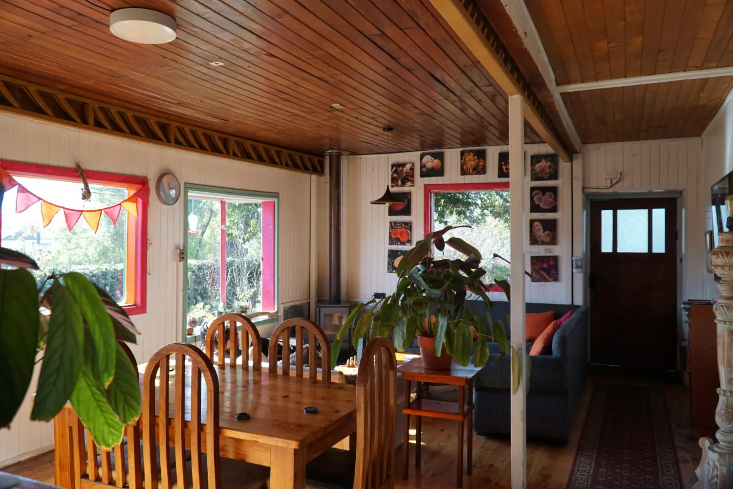 Recepción del hostal, un espacio acogedor con luz natural, mobiliario de madera y cómodos sillones ideales para descansar o compartir — Hostal Micelio, Villarrica.